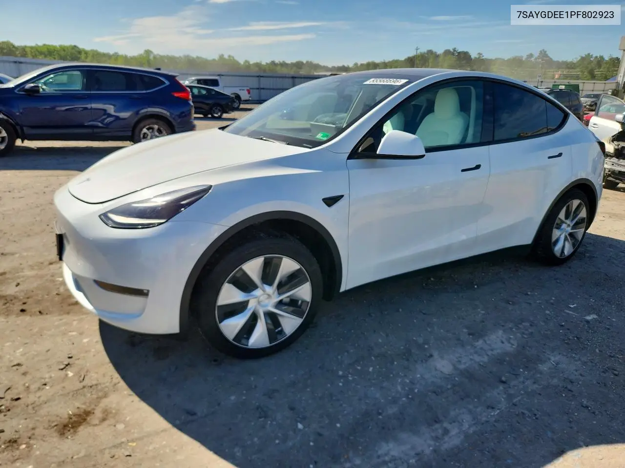 Tesla Model Y (I)