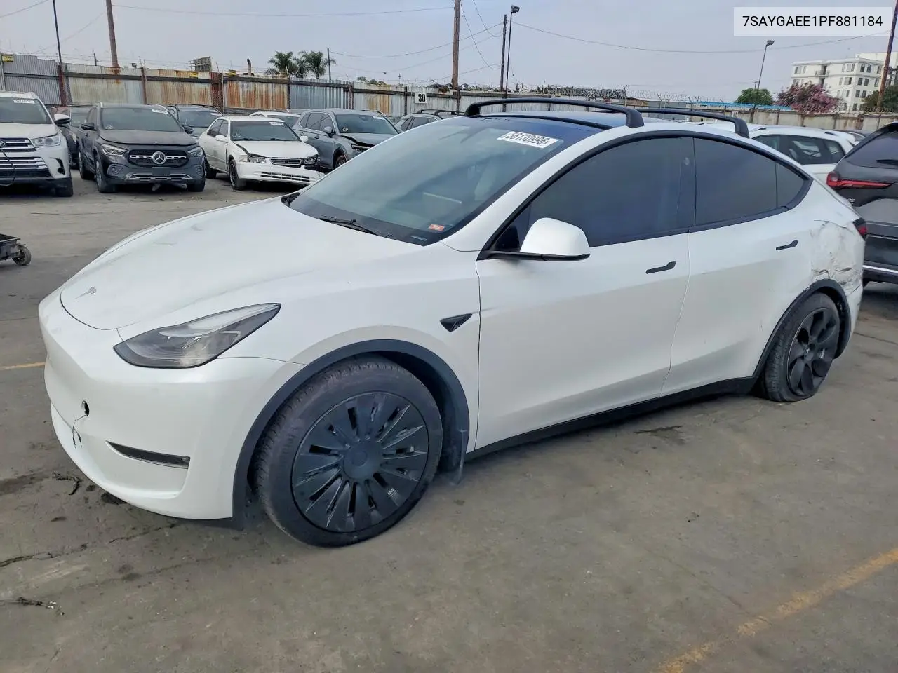 Tesla Model Y (I)