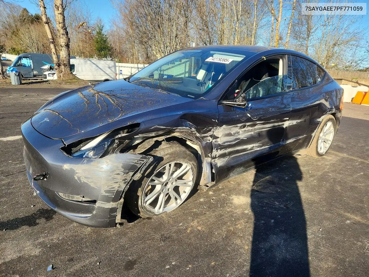 Tesla Model Y (I)