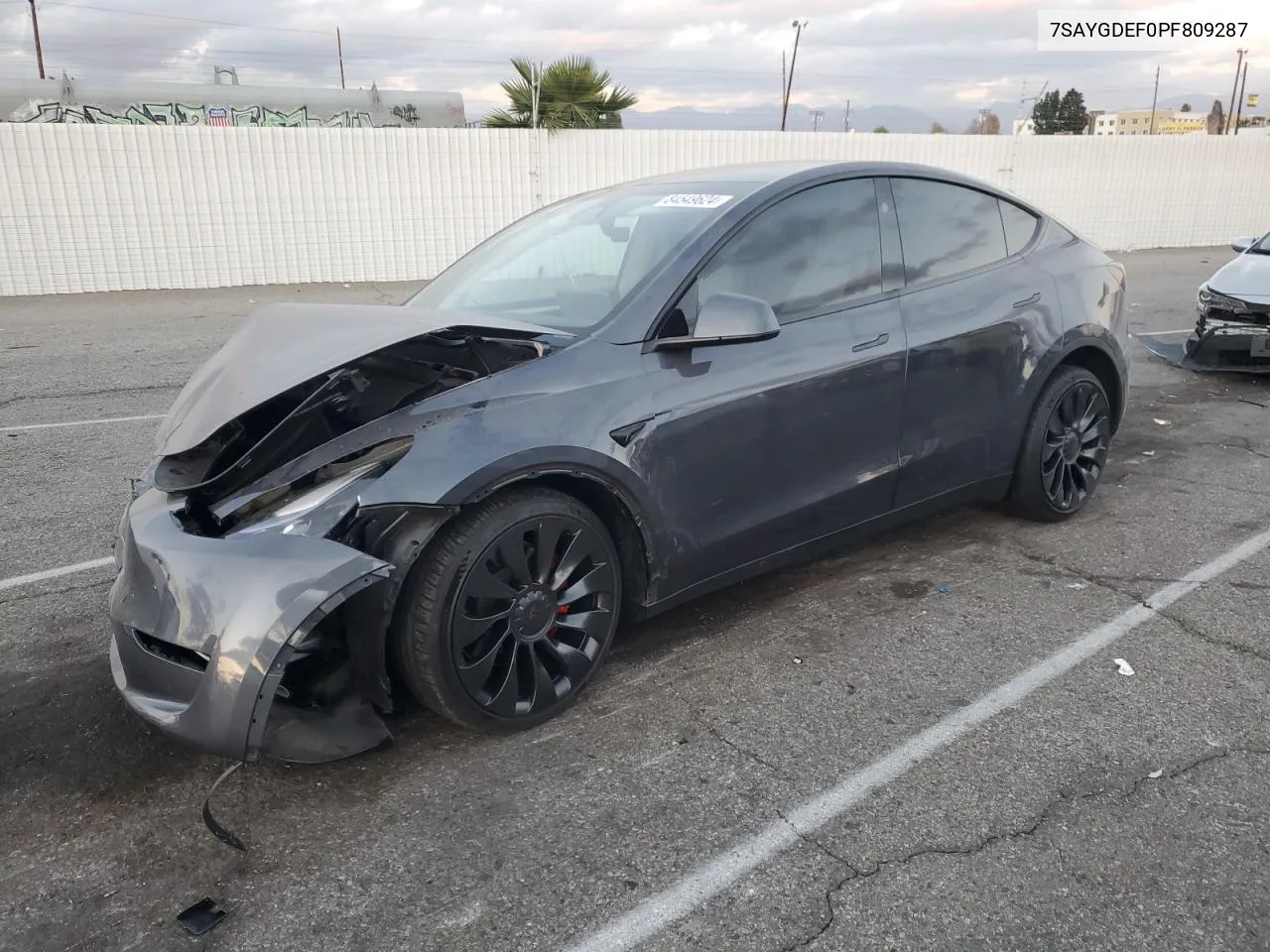 Tesla Model Y (I)