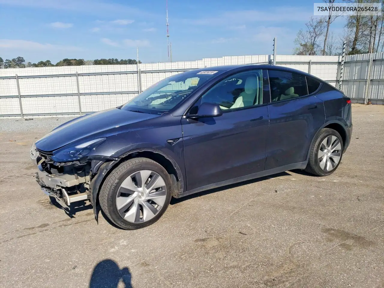 Tesla Model Y (I)