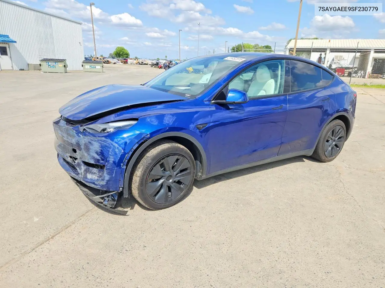 Tesla Model Y (I)