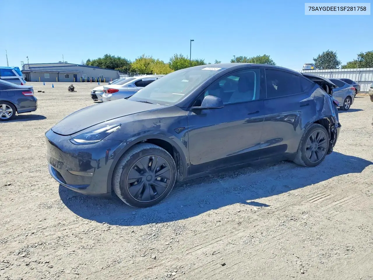 Tesla Model Y (I)