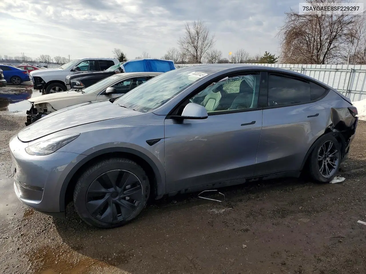 Tesla Model Y (I)
