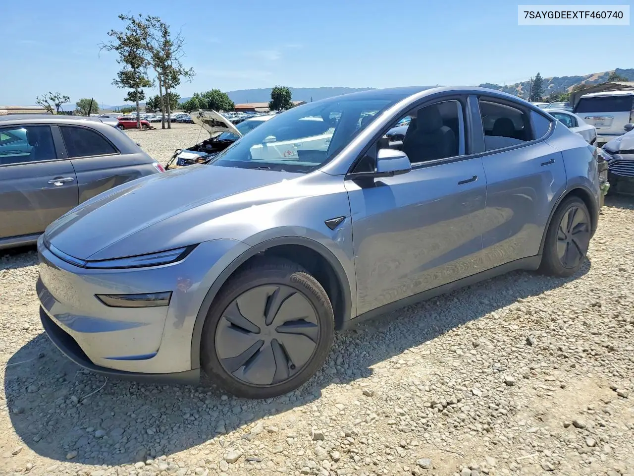 Tesla Model Y (I)