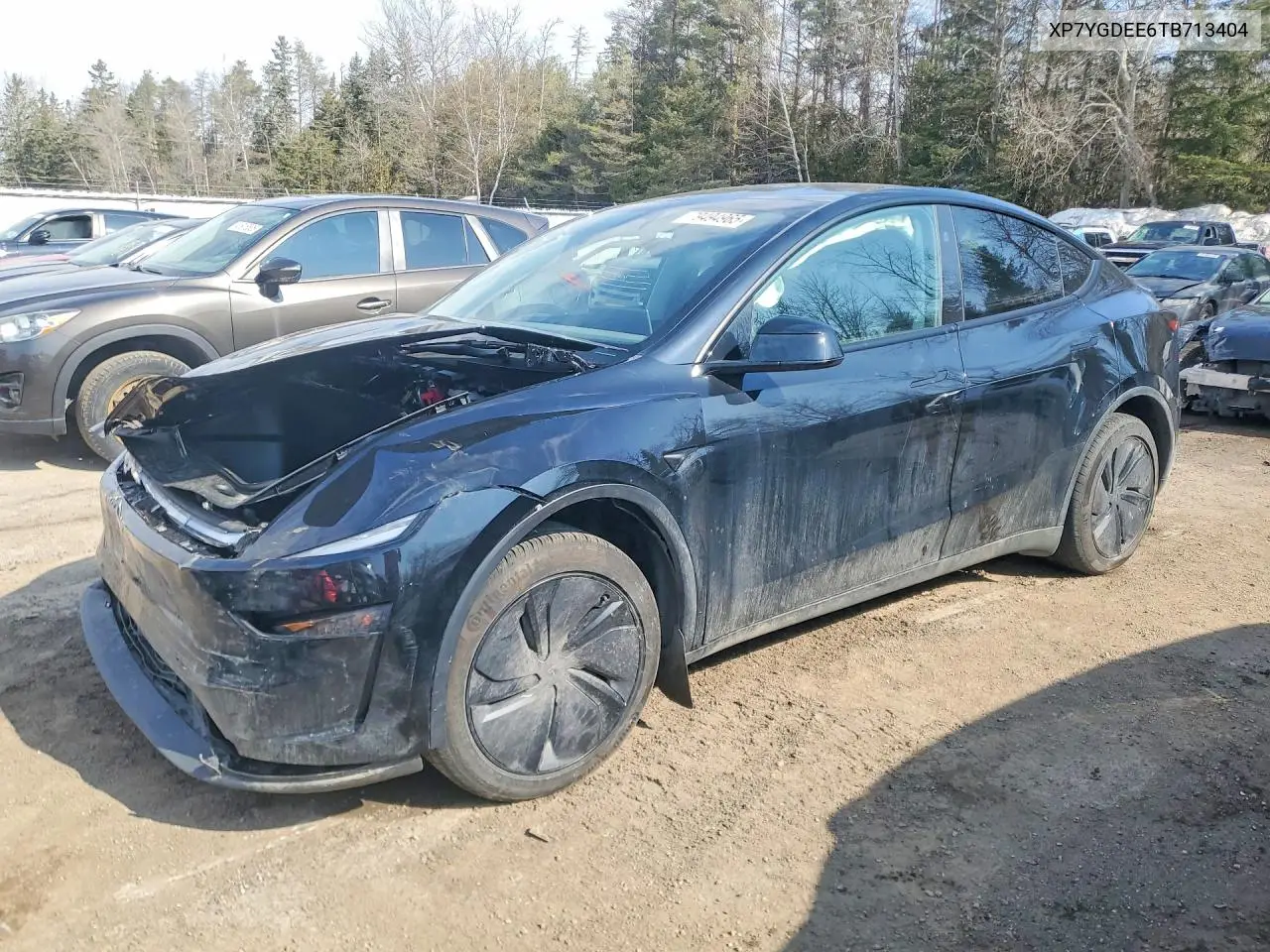 Tesla Model Y (I)