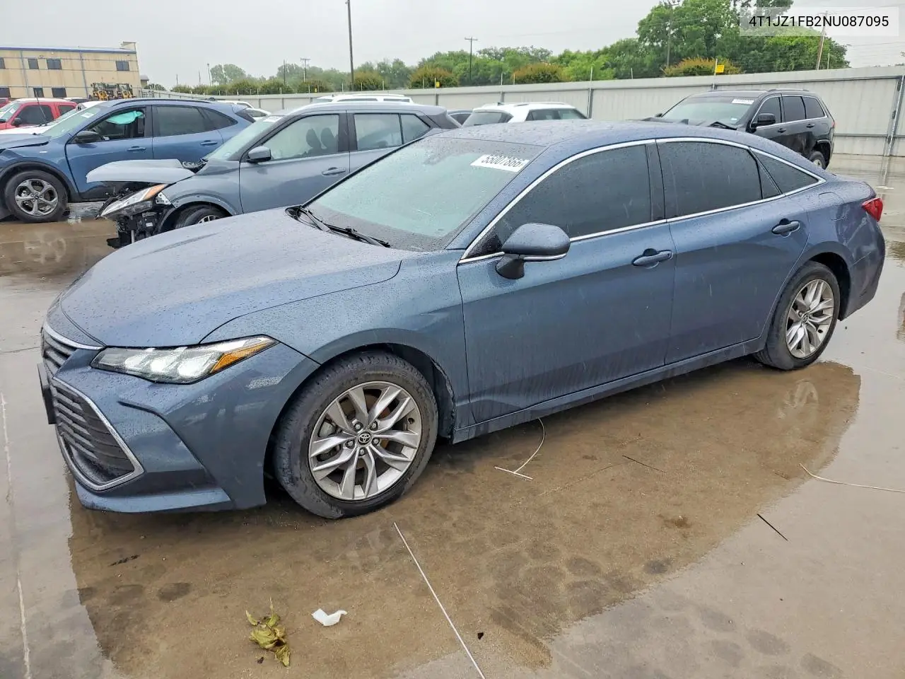 Toyota Avalon (V)