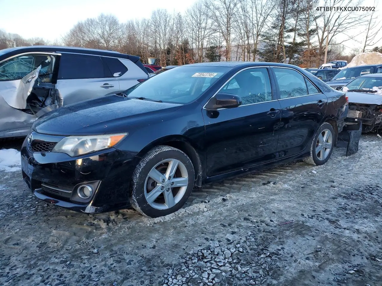 Toyota Camry (XV50)