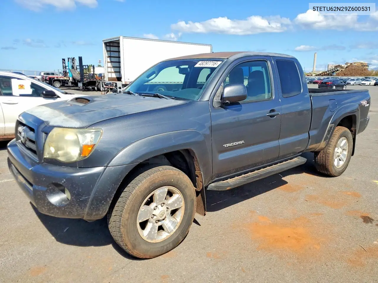 Toyota Tacoma (II)