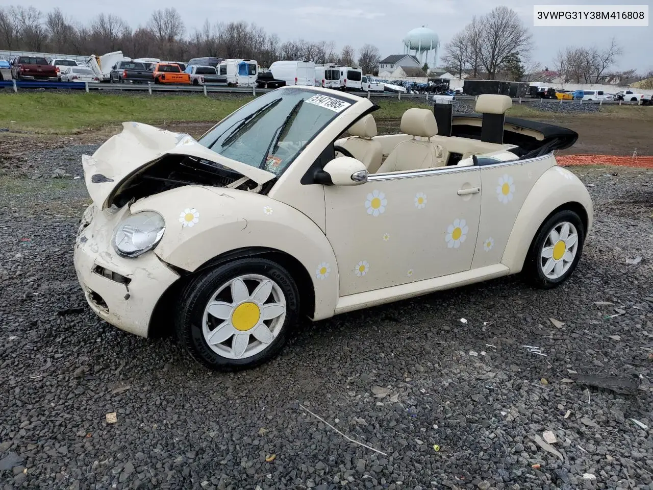 Volkswagen Beetle (A4)