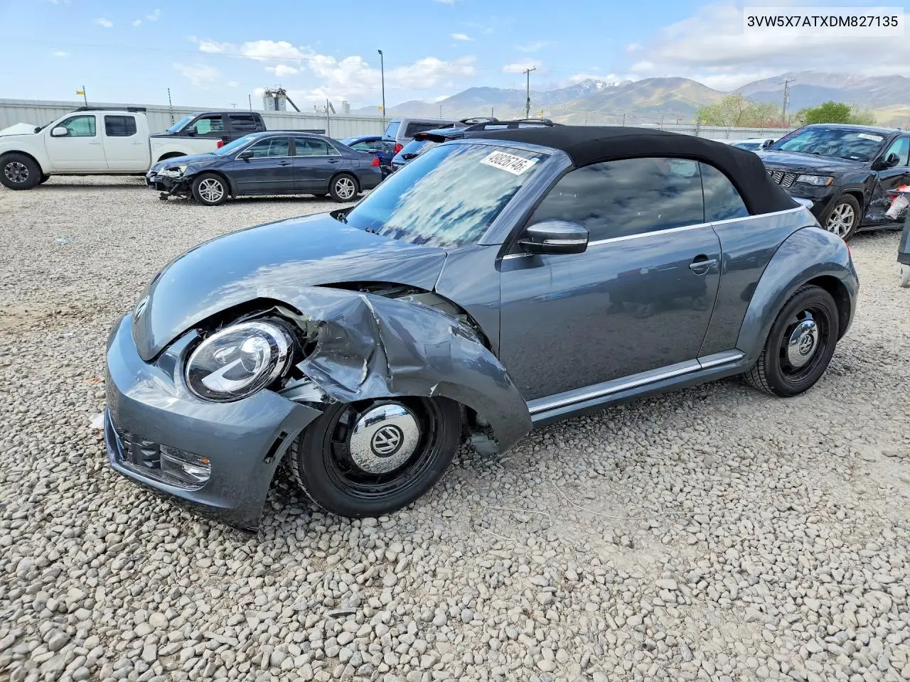 Volkswagen Beetle (A5)