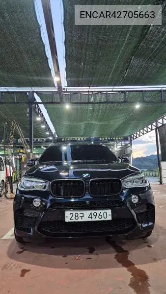 2015 X5M (F15) 4.4
