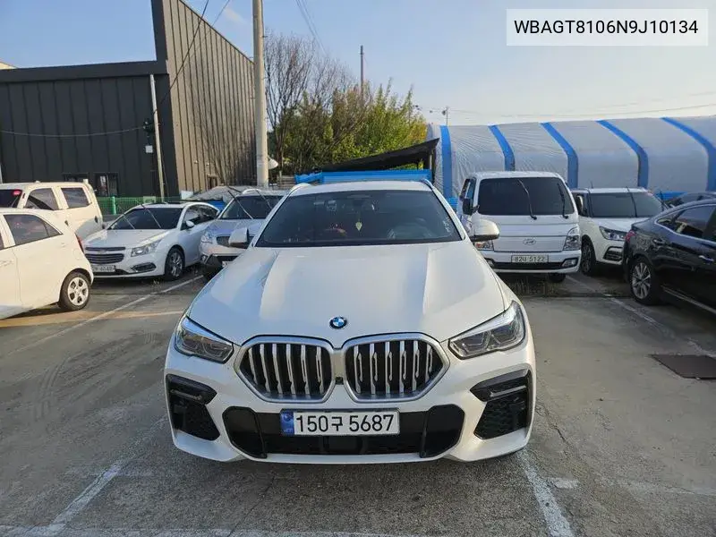 2021 X6 (G06) xDrive30D M Sports