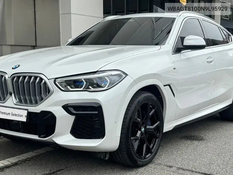 2022 X6 (G06) xDrive30D M Sports