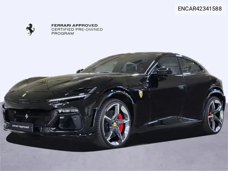2025 Purosange 6.5 V12
