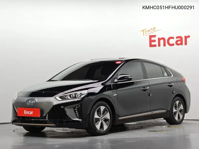 2016 Ioniq Electric Q