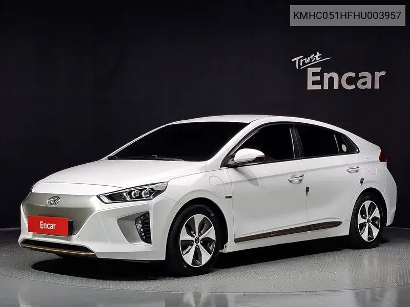 2016 Ioniq Electric Q
