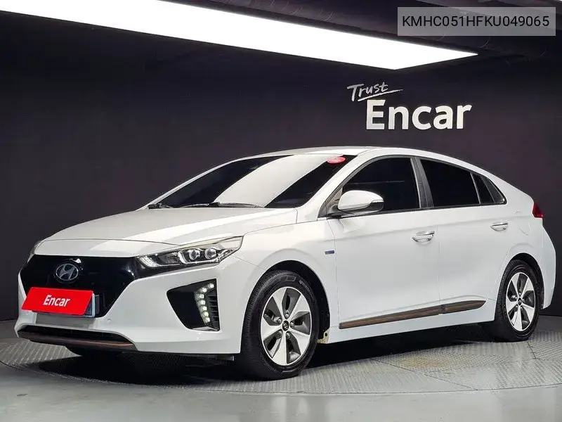 2019 Ioniq Electric Q