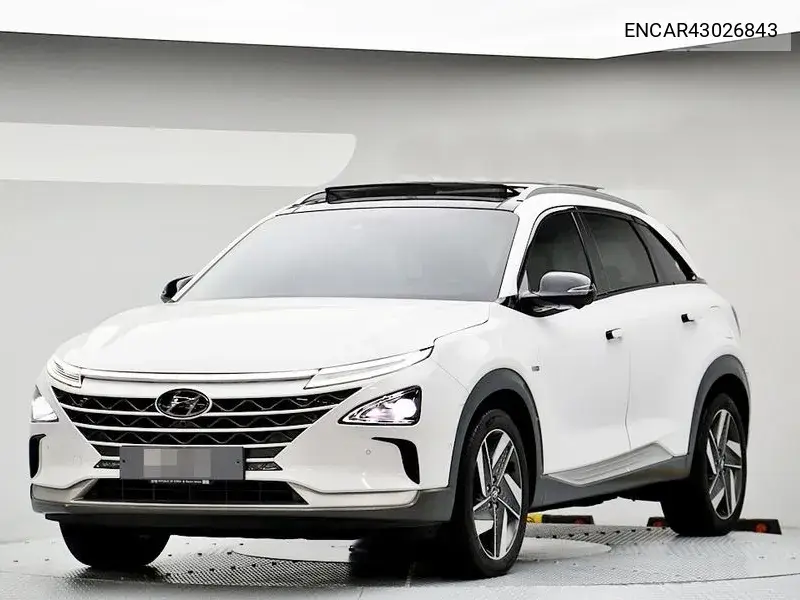 2018 Nexo Premium