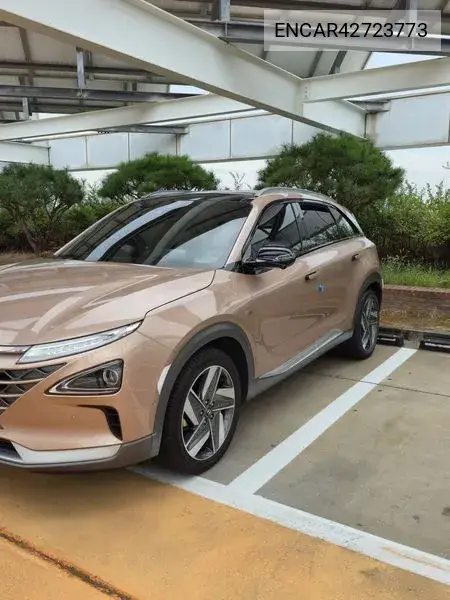 2019 Nexo Premium