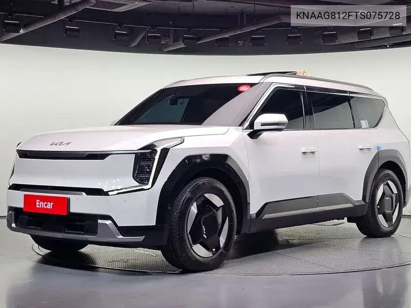 2026 Ev9 Standard 2Wd Earth
