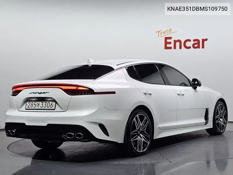 2021 Stinger Meister 2.5 Masters