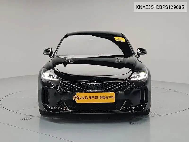 2022 Stinger Meister 2.5 Masters Acro Edition