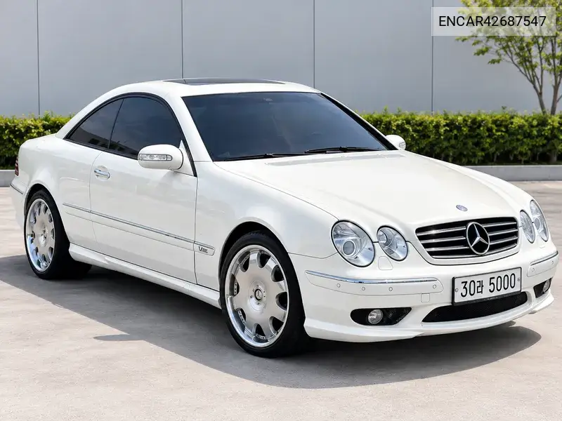 2001 Cl-Class C215 Cl600