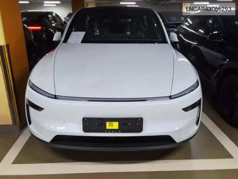 2026 Model Y Premium Rwd