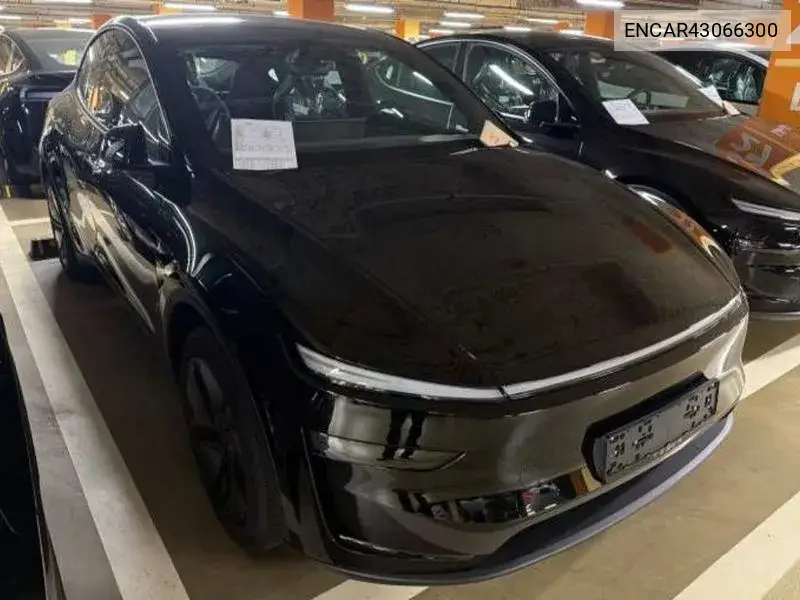 2026 Model Y Premium Rwd