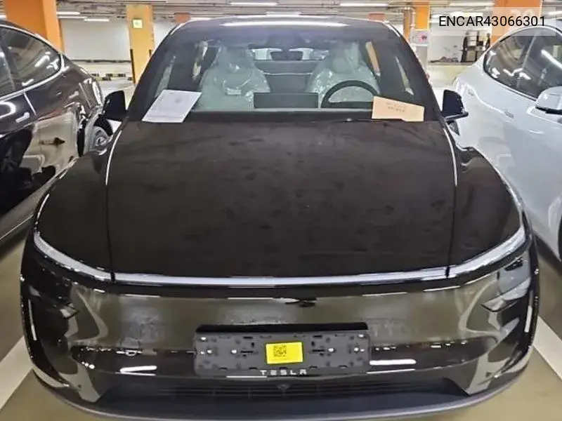 2026 Model Y Premium Rwd
