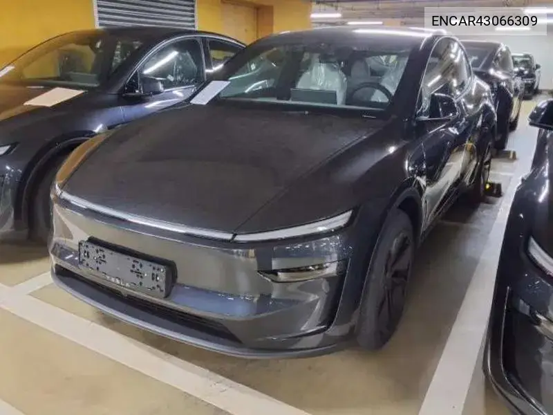 2026 Model Y Premium Rwd