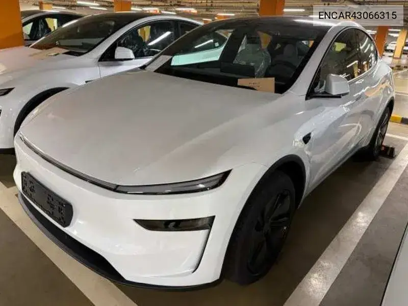 2026 Model Y Premium Rwd