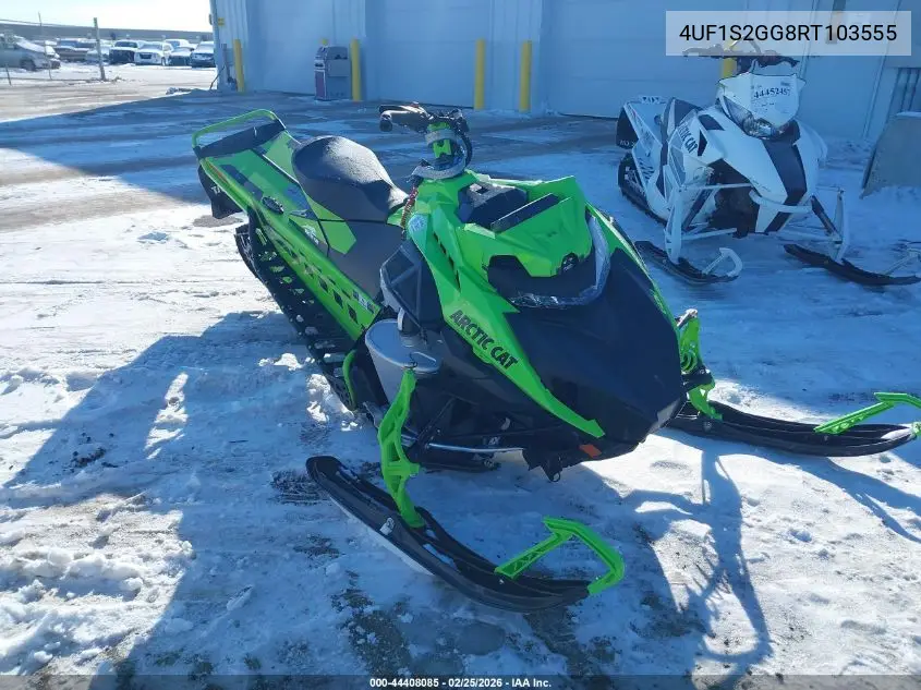 arctic cat