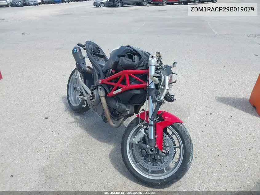 ducati monster