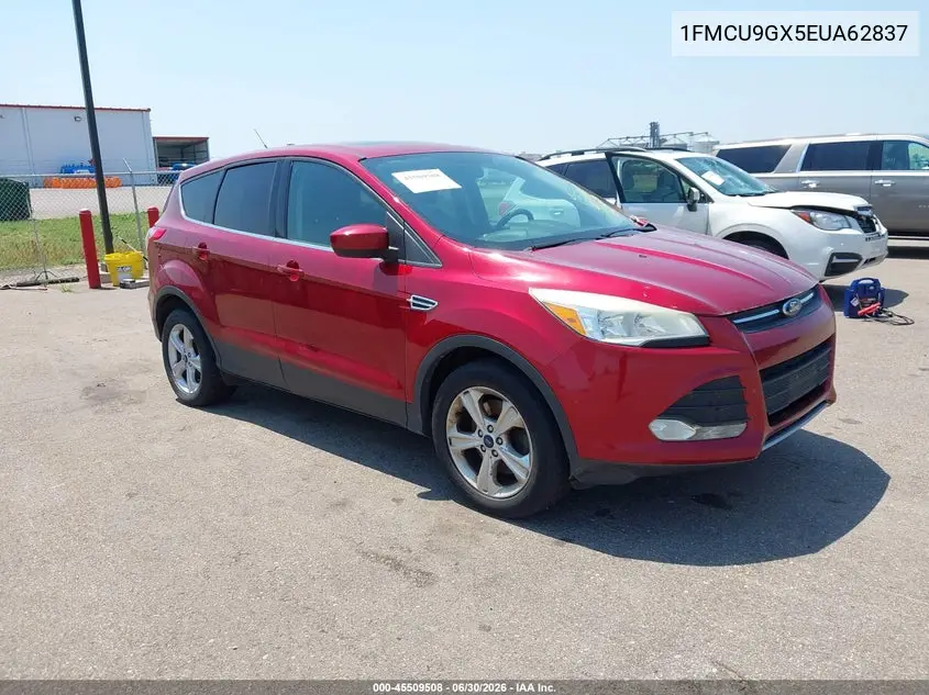 Ford Escape (III)