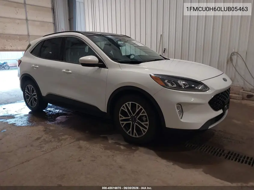 Ford Escape (III)