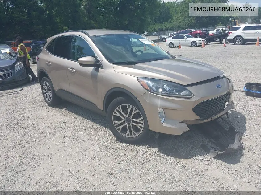 Ford Escape (IV)