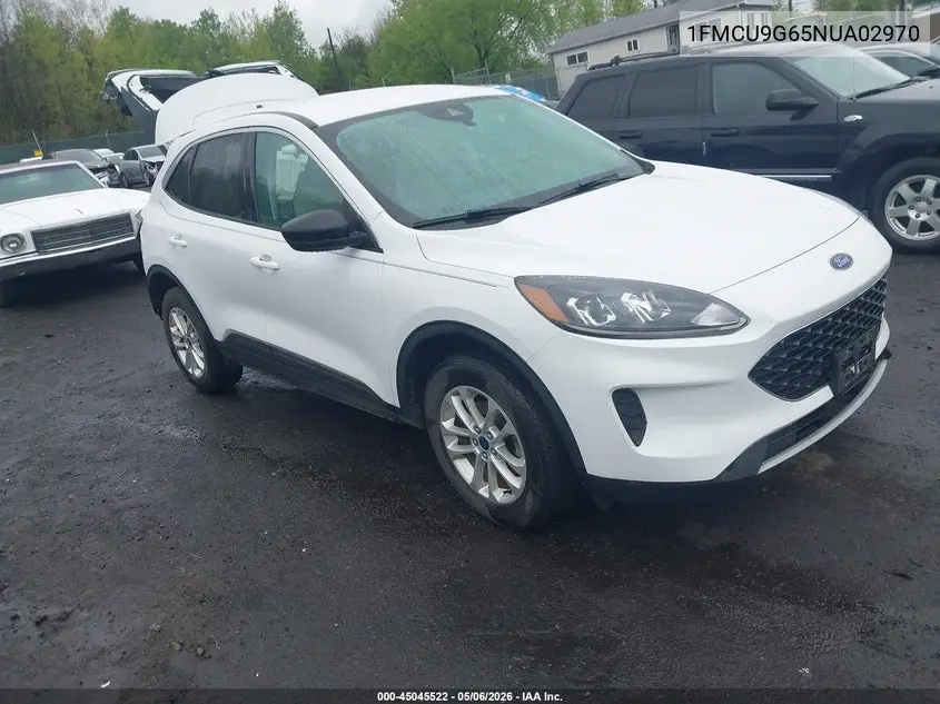 Ford Escape (IV)