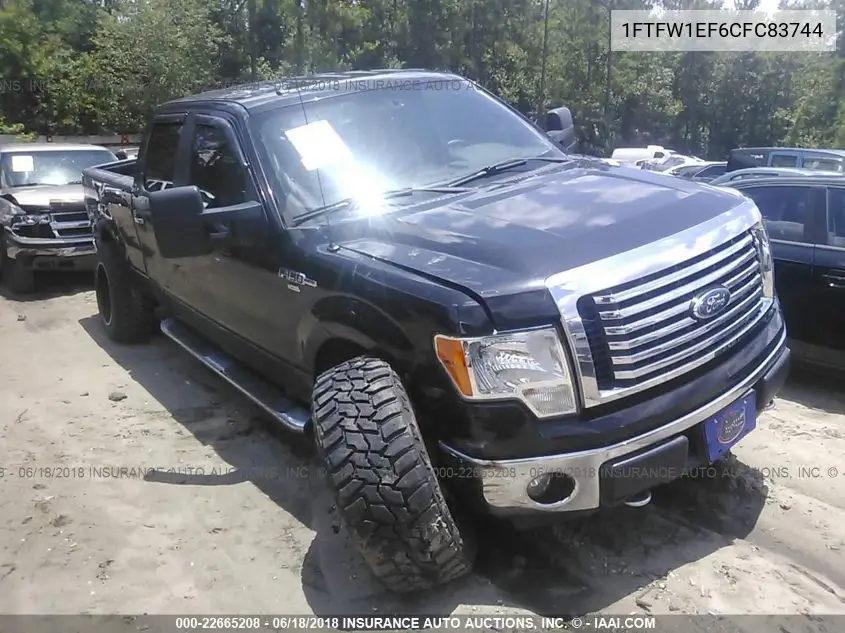 Ford F-150 (XII)