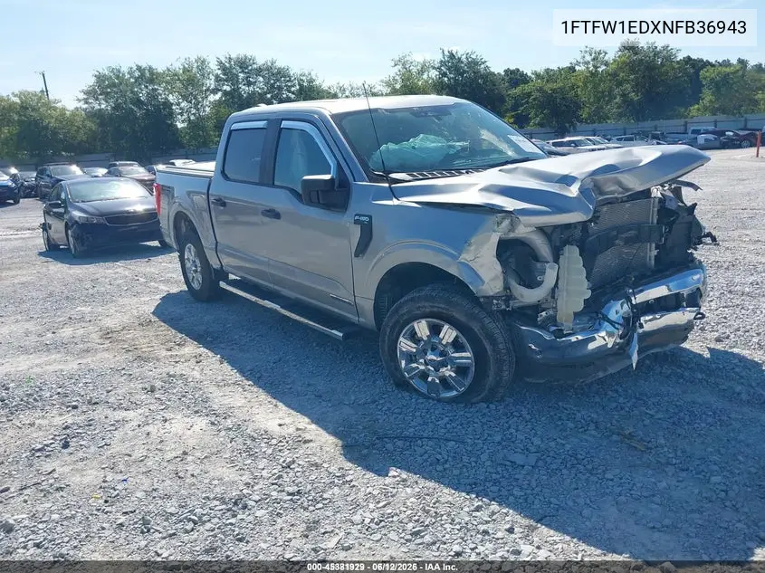 Ford F-150 (XIV)