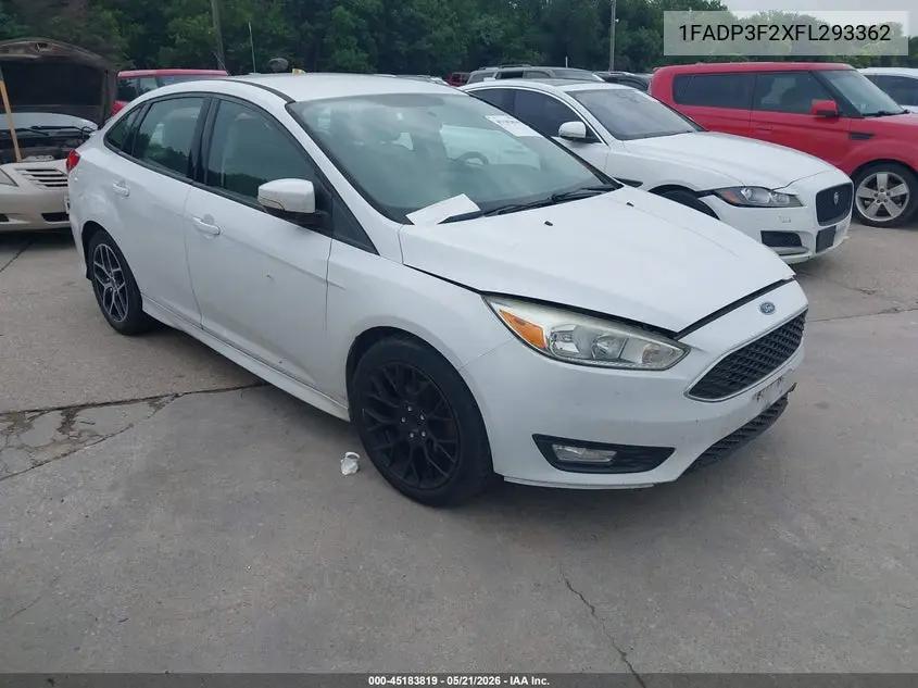 Ford Focus (III)