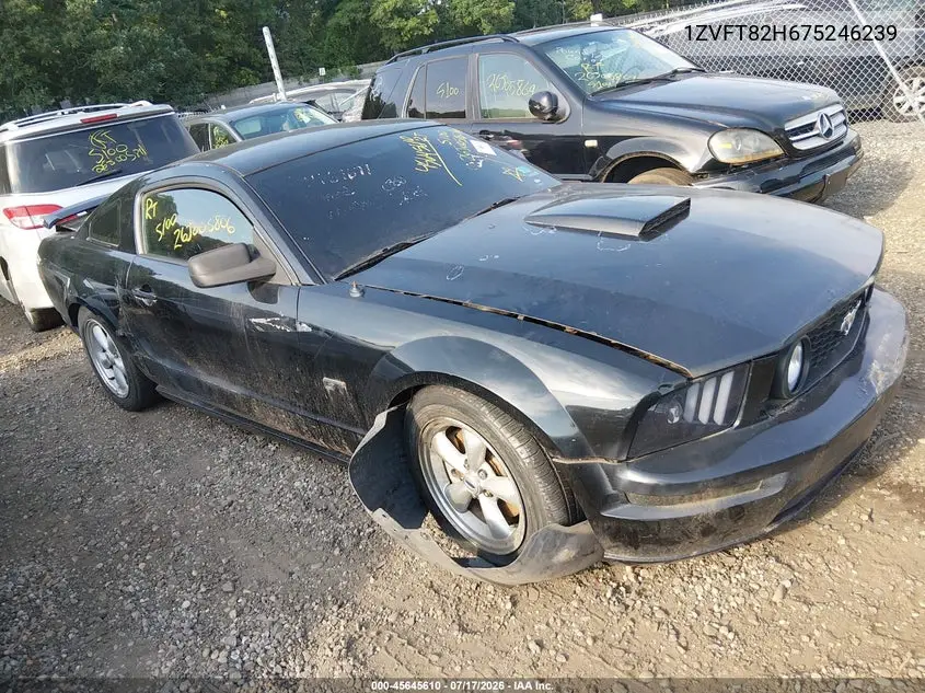 Ford Mustang (V)