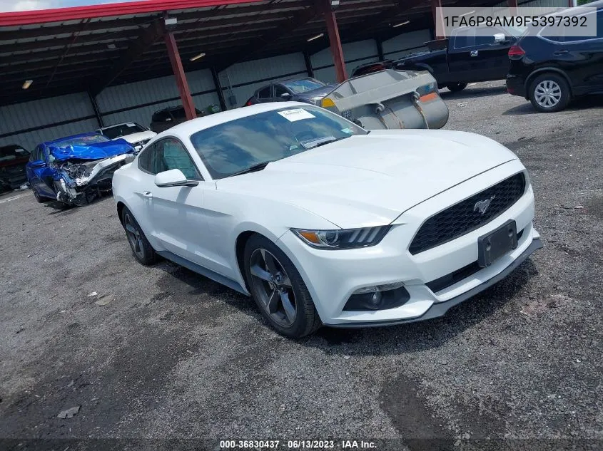 Ford Mustang (VI)