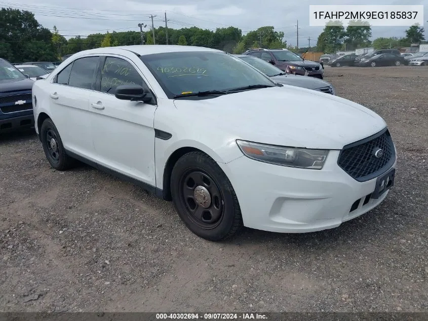 Ford Police