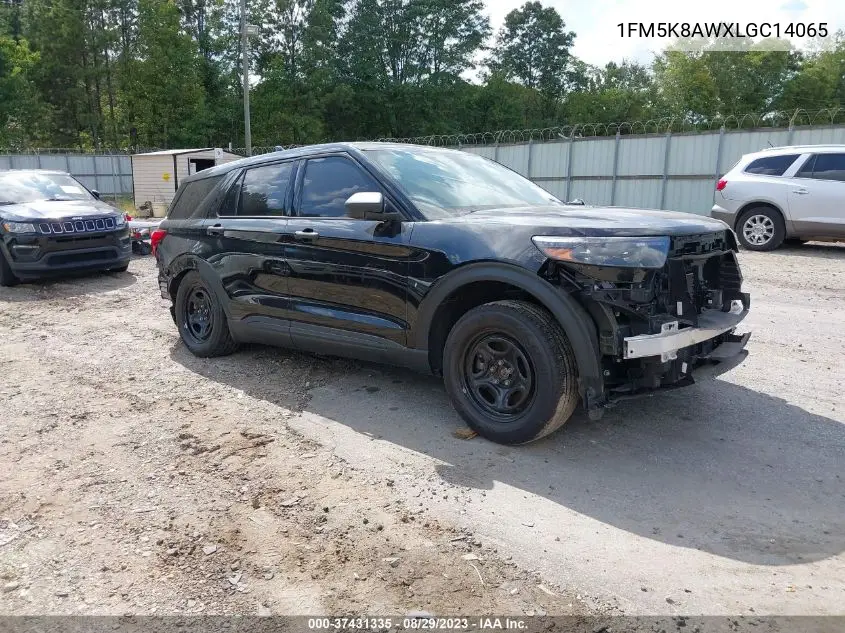 Ford Police