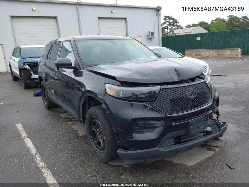 Ford Police (VI)