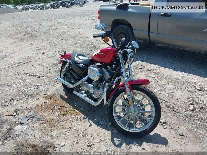 Harley-Davidson iron