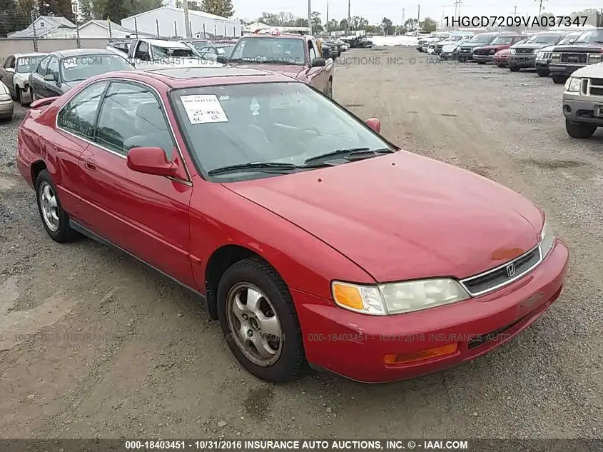 Honda Accord (V)