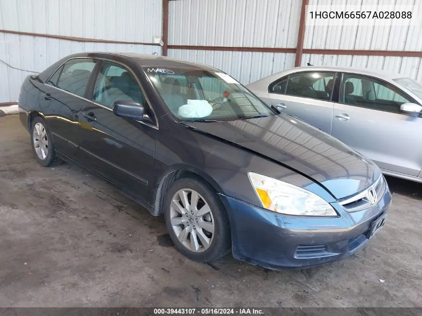 Honda Accord (VII)